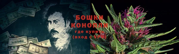 соль ск Горняк