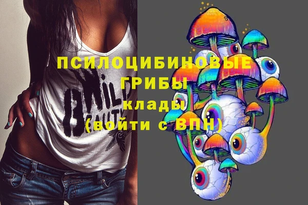 твердый Горно-Алтайск