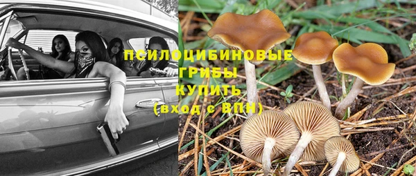 мяу мяу мука Вязьма