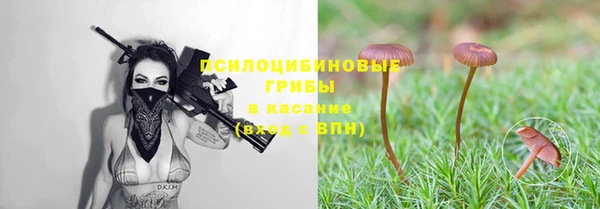 mdma Горнозаводск