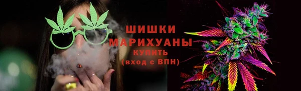 амф Вяземский