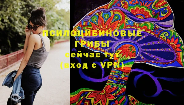 амф Вяземский