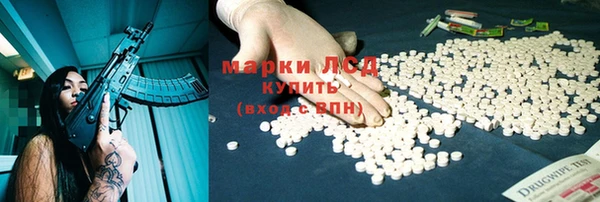 амф Вяземский
